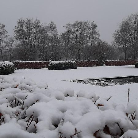 B&B De Levensboom Tessenderlo Exteriör bild