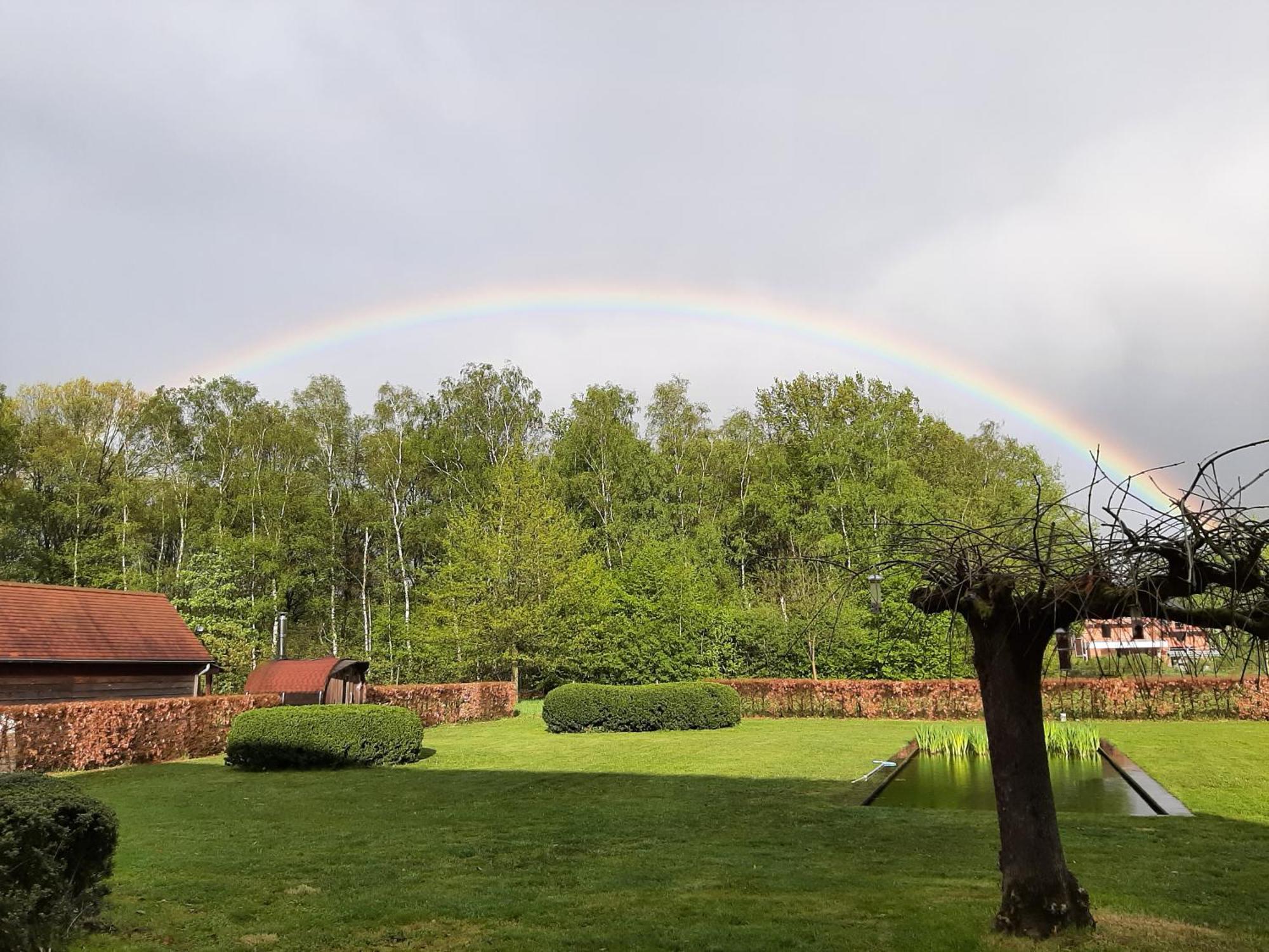B&B De Levensboom Tessenderlo Exteriör bild