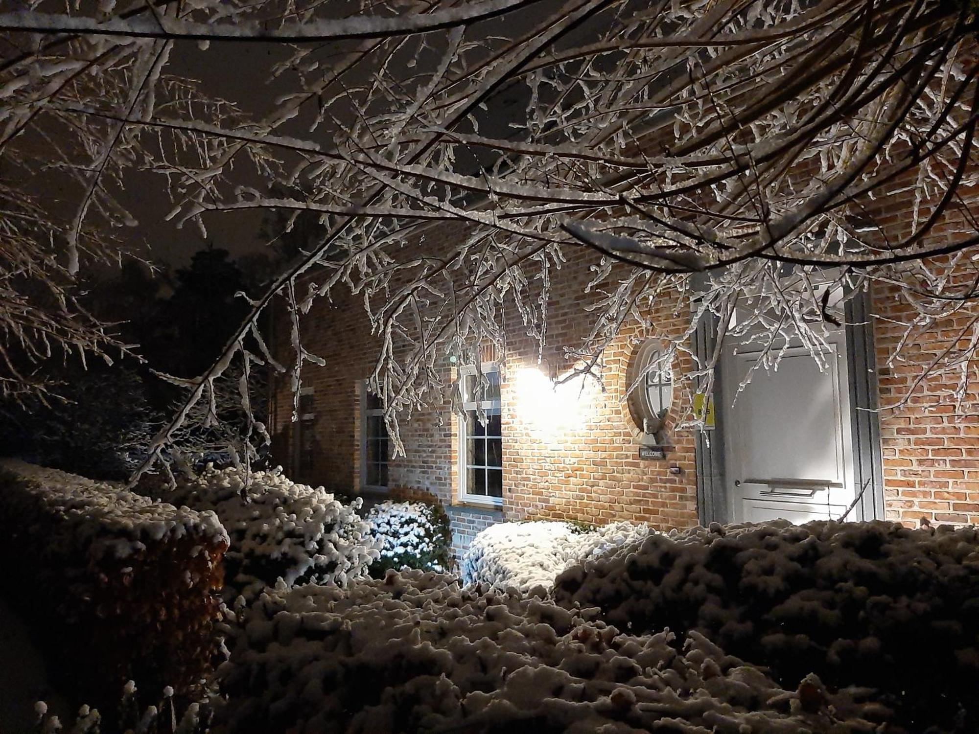 B&B De Levensboom Tessenderlo Exteriör bild