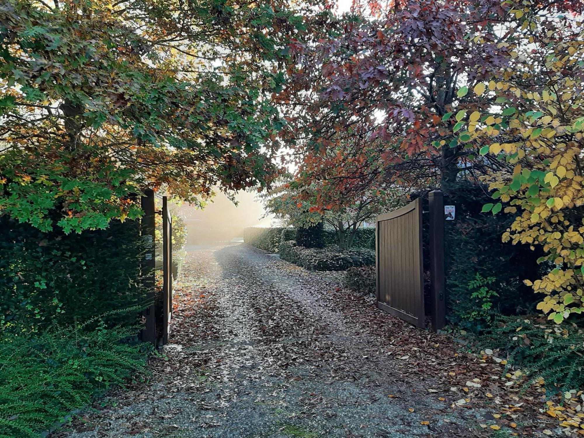 B&B De Levensboom Tessenderlo Exteriör bild